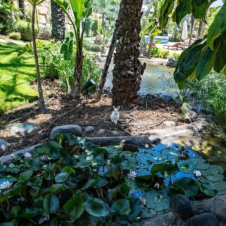 Apartmán Luxury At Lomas Del Rey, Puente *