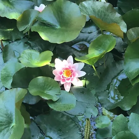 Apartment Luxury At Lomas Del Rey, Puente *