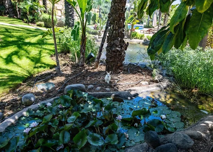 Daire Luxury At Lomas Del Rey, Puente *