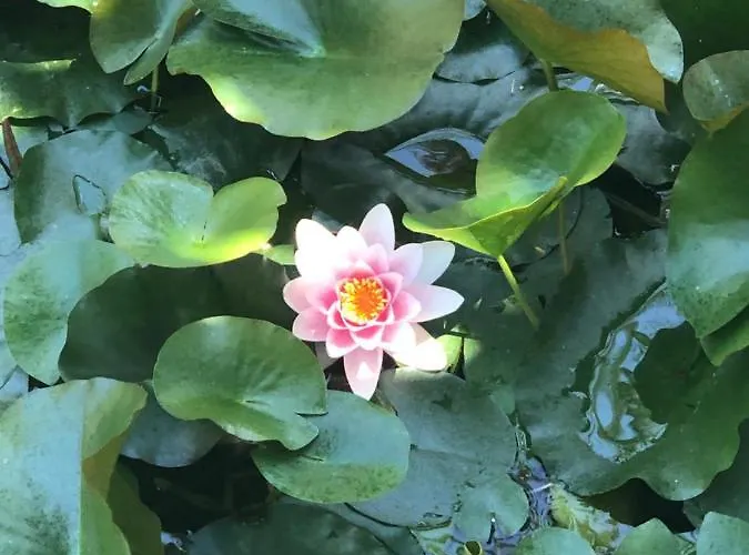 Daire Luxury At Lomas Del Rey, Puente *