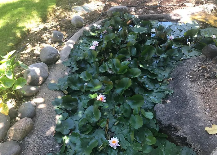 Luxury At Lomas Del Rey, Puente *